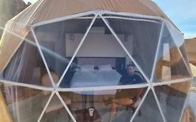 Bubble tent&luxury camp