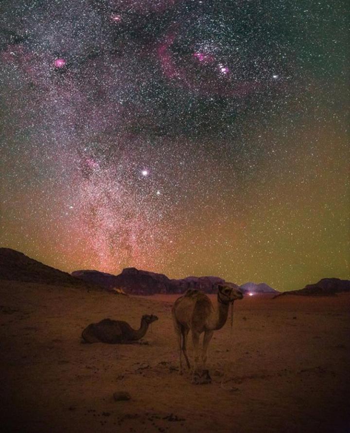 Bubble tent&luxury camp Hotel Wadi Rum Esterno foto